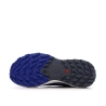 Chaussures de Trail Gris/Bleu Homme Salomon Sense Ride 5