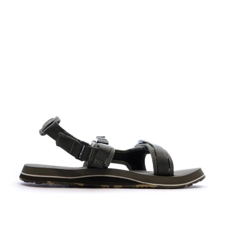 Sandales Kaki Homme Quiksilver Monkey Caged