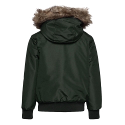 Parka Kaki Homme Jack & Jones Padded 12217733-FNG