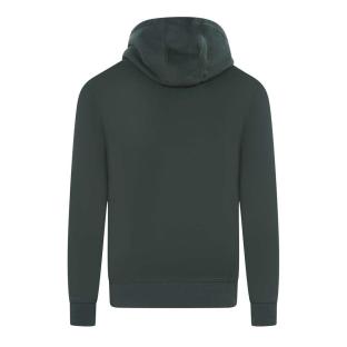 Sweat à Capuche Vert Homme Teddy Smith nark Hoody
