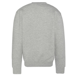 Sweat Gris Homme Schott Rdc Print