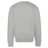 Sweat Gris Homme Schott Rdc Print