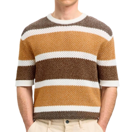 Pull Marron/Blanc Homme Selected 16097853
