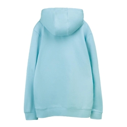 Sweat à Capuche Turquoise Homme Teddy Smith Nark