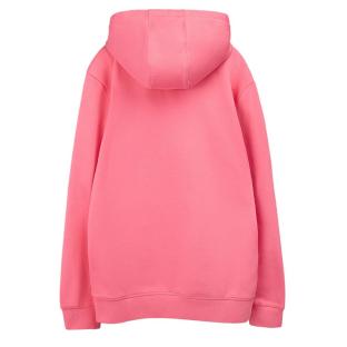 Sweat à Capuche Rose foncé Homme Teddy Smith Nark