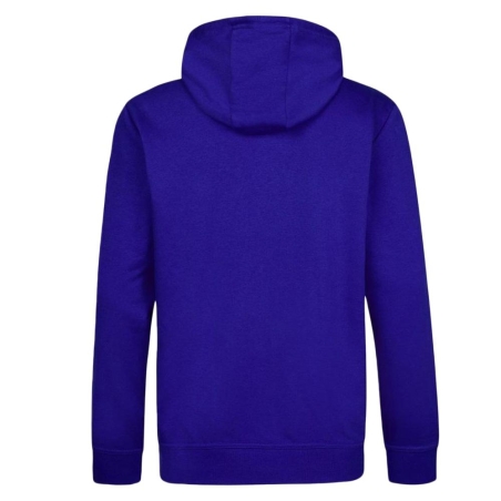 Sweat à Capuche Bleu Roi Homme O'Neill Cali