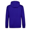 Sweat à Capuche Bleu Roi Homme O'Neill Cali