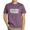 T-shirt Violet Homme Pepe jeans Connor