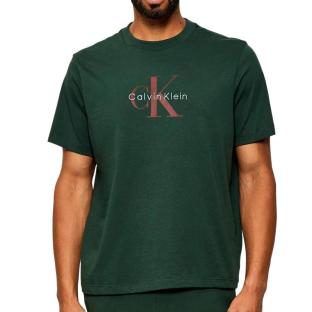 T-Shirt Vert Homme Calvin Klein Jeans Hero