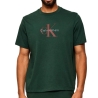 T-Shirt Vert Homme Calvin Klein Jeans Hero