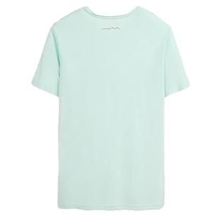 T-shirt Vert Menthe Homme Teddy Smith T-geo