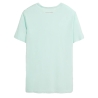 T-shirt Vert Menthe Homme Teddy Smith T-geo