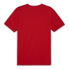 T-Shirt Rouge Homme Puma Teamfinal