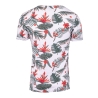 T-shirt Blanc/Rouge Homme La Maison Blaggio Fleur