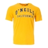 T-Shirt Jaune Homme O'Neill Surf
