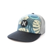 Casquette Grise/Marine Homme Hurley Balboa