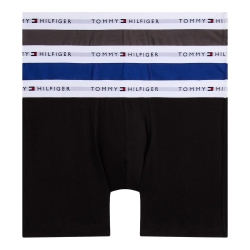 x3 Boxer Noir/Gris/Bleu Homme Tommy Hilfiger UM0UM02941