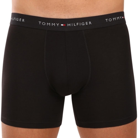 Lot de 3 Boxers Noir Homme Tommy Hilfiger UM0UM03696