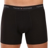 Lot de 3 Boxers Noir Homme Tommy Hilfiger UM0UM03696