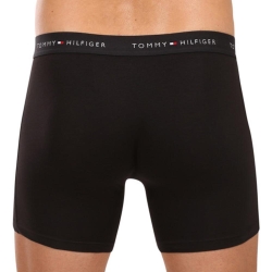 Lot de 3 Boxers Noir Homme Tommy Hilfiger UM0UM03696