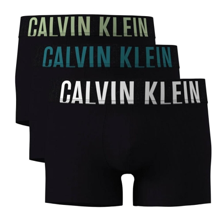 Boxers Noir/Vert Homme Calvin Klein Jeans Trunk