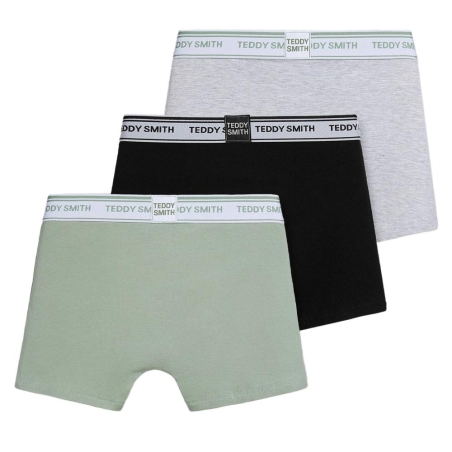 Lot de 3 Boxers Gris/Kaki Homme Teddy Smith 1TS/52/9