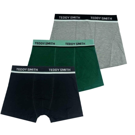 Lot de 3 Boxers Noir/Vert/Gris Homme Teddy Smith 1TS/52/9