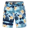 Maillot de Bain Noir/Bleu Homme Hurley MBS0011590