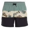 Maillot de bain Noir/Vert/Beige O'Neill Block