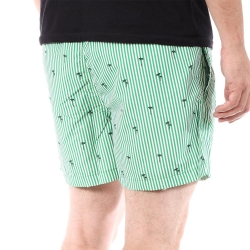 Short de Bain Vert Homme Jack & Jones Pacific Coast Flamingo