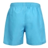 Short de bain Bleu Homme Gotcha Addict