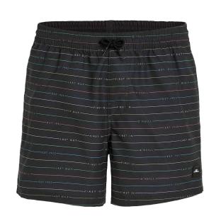Maillot de bain Gris Foncé O'Neill Scallop
