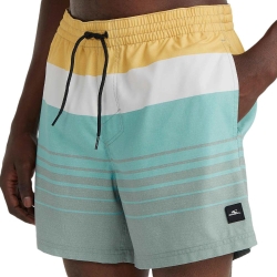 Maillot de bain Vert/Blanc Homme O'Neill Cali