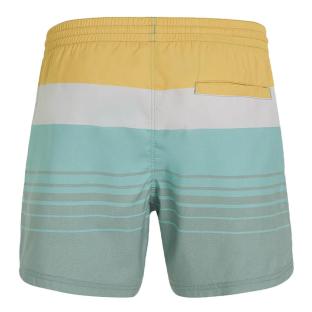 Maillot de bain Vert/Blanc Homme O'Neill Cali