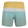 Maillot de bain Vert/Blanc Homme O'Neill Cali
