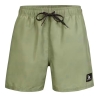 Short de bain Kaki Homme Gotcha Addict