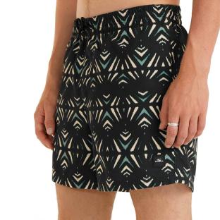 Maillot de bain Noir/Vert Homme O'Neill Cali