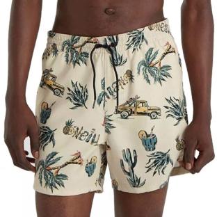 Maillot de bain Beige/Vert Homme O'Neill Cali