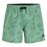 Maillot de bain Vert Homme O'Neill Cali