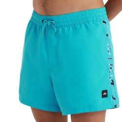 Maillot de bain Turquoise Homme O'Neill Mix & Match Cali
