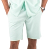 Short Vert d'Eau Homme Paname Brothers Poly