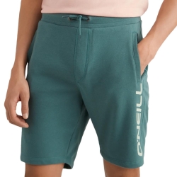 Short Vert Homme O'Neill Logo 500