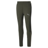 Jogging Kaki Homme Puma Evostripe
