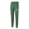 Jogging Beige/Vert Homme Puma 539485