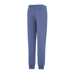 Jogging Bleu Homme Puma Logo Essentials