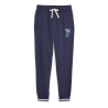 Jogging Marine Homme Puma 676019