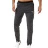 Jogging Gris Homme Puma Evostripe 52