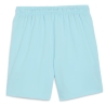 Short Bleu/Rose Homme Puma 777114