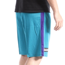 Short basketball Bleu Homme Sport Zone Charlotte Hornets
