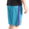 Short basketball Bleu Homme Sport Zone Charlotte Hornets